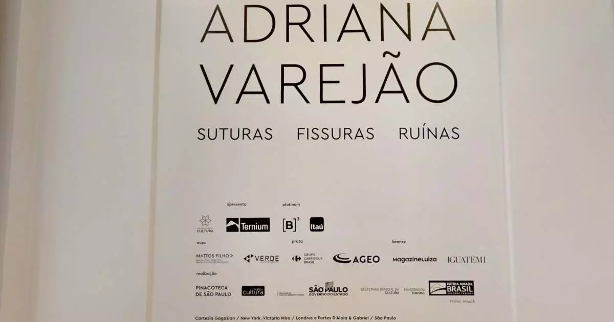 Adriana Varejão: Suturas, fissuras, ruínas - Pina Luz - Tour Virtual
